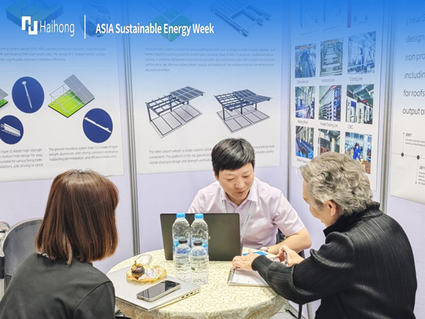 ‌PV mounting system