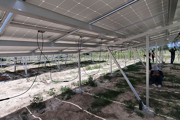 Ground-Solar-Racking-Systems